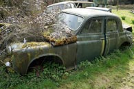 Rusty Rover 90 Green